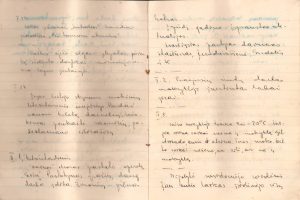 Motiejaus Lukšio dienoraštis (1940.01.03-1940.07.15). Panevėžys. PAVB F68-14