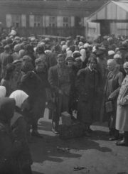 1. Vežimai darbams į Vokietiją 1942 m. Nuotrauka iš privačios kolekcijos
