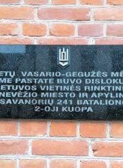 Atminimo lenta Lietuvos vietinei rinktinei. Astos Rimkūnienės nuotrauka