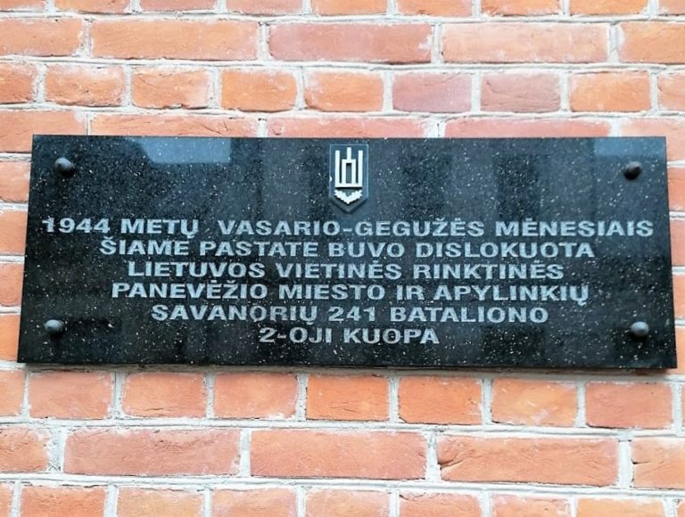 Atminimo lenta Lietuvos vietinei rinktinei. Astos Rimkūnienės nuotrauka