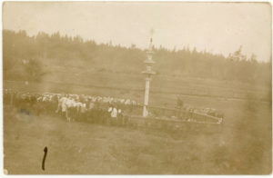 Lietuvos nepriklausomybės 10-mečiui pastatyto koplytstulpio Paįstryje šventinimas. Grupinė nuotrauka. Paįstrys (Panevėžio r.), 1928. PAVB F141-68