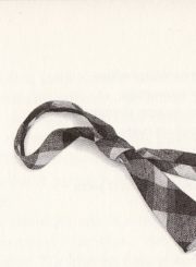 Juozo Miltinio kaklaraištis. Iš kn.: V. Palčinskaitė. Atminties babilonai, arba Aš vejuos vasarą