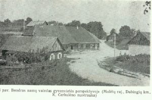 Bendras namų vaizdas gyvenvietės perspektyvoje (Molėtų raj. Dubingių km., K. Čerbulėno nuotrauka)