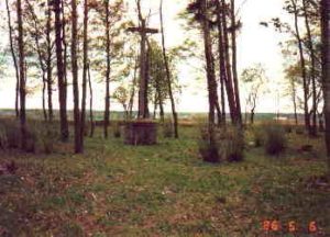 Pirmojo pasaulinio karo karių kapinės Palaukių kaime, Karsakiškio sen.