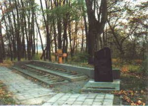 Pirmojo pasaulinio karo karių kapinės Paliūniškio k., Karsakiškio sen.