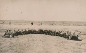 Mokytojų vasaros sporto kursų dalyvės pajūryje. Palanga. 1930 m. Panevėžio apskrities Gabrielės Petkevičaitės-Bitės viešoji biblioteka, Aleksandros Šilgalytės fondas F80-554-1