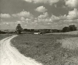Degučių kaimas (Rokiškio raj.), kuriame prabėgo Pauliaus Širvio vaikystė. Romualdo Rakausko nuotrauka