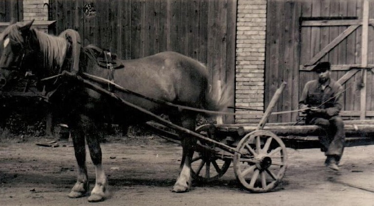 1. Panevėžio artelės „Ratas“ darbuotojas su savo transportu. Nuotrauka iš Viktoro Ramučio Vitkausko kolekcijos