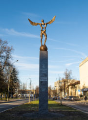 „Verslo skrydis“. Rimvydo Ančerevičiaus nuotrauka