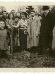 Medelių sodinimas Panevėžyje. Iš dešinės: 1-as Jonas Sokolovas. Panevėžys. Apie 1936–1938 m. Panevėžio apskrities Gabrielės Petkevičaitės-Bitės viešoji biblioteka, Laimos Rapšytės fondas F70-773