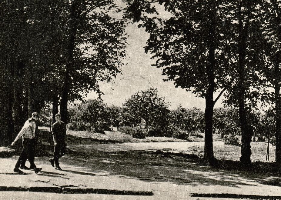 Miesto parke. Panevėžys, 1967 m. Atvirukas. F. Juodikaitienės nuotr.