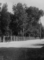 1. P. Puzino gatvė