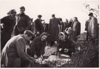 Talka „Vilniaus“ kolūkyje. 1952 m. Laimutė Liesytė – pirmame plane, dešinėje. Fotogr. iš Mariaus Pažemecko asmeninio archyvo