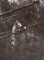 Panevėžietė mokytoja Kotryna Daukienė su sūneliu Alvydu Berčiūnų kurorte prie audros išverstų medžių. 1939 m. birželio mėn. Panevėžio apskrities Gabrielės Petkevičaitės-Bitės viešoji biblioteka, Povilo ir Kotrynos Daukų skaitmeninis archyvas