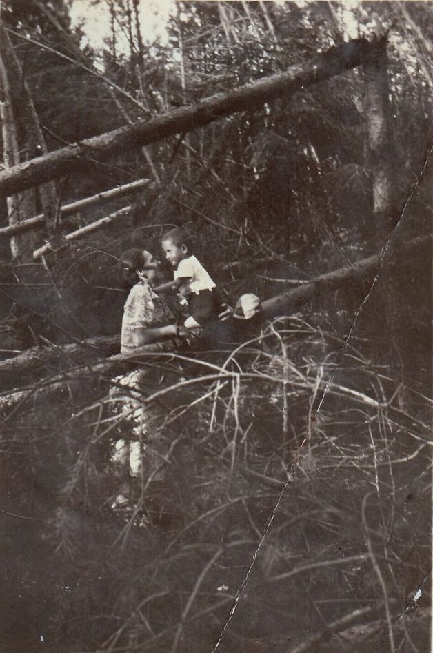 Panevėžietė mokytoja Kotryna Daukienė su sūneliu Alvydu Berčiūnų kurorte prie audros išverstų medžių. 1939 m. birželio mėn. Panevėžio apskrities Gabrielės Petkevičaitės-Bitės viešoji biblioteka, Povilo ir Kotrynos Daukų skaitmeninis archyvas