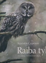 Raiba tyla : fotografijų albumas