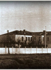 Panevėžio mėsos kombinatas