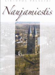 Naujamiestis