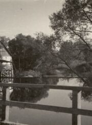 Savitiškio vandens malūnas ir tiltas. Ant tilto stovi Panevėžio dramos teatro aktorius Vaclovas Blėdis. Fotogr. K. Vitkus. Panevėžys. 1955 m. PAVB, Kazimiero Vitkaus fondas FKV-300-9