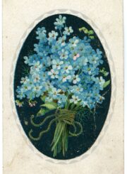 Pliuškytė, Antanina. Sveikinimas su vardo diena Domicėlei Pauliukaitei-Žiaunienei. Subačius (Kupiškio r.). 1926 05 21. PAVB, Vytauto ir Silvijos Vilkončių fondas F154-162-1