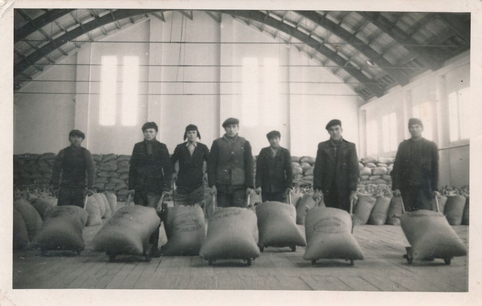 Panevėžio cukraus fabriko darbininkai sandėlyje prie karučiuose sukrautų cukraus maišų. Fotogr. J. Žitkus. Panevėžys. Apie 1941 m. PAVB, Pavienių rankraščių fondas F8