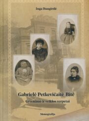 Gabrielė Petkevičaitė-Bitė. Gyvenimo ir veiklos verpetai