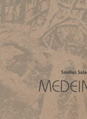 Medeina