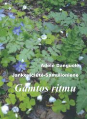 Gamtos ritmu